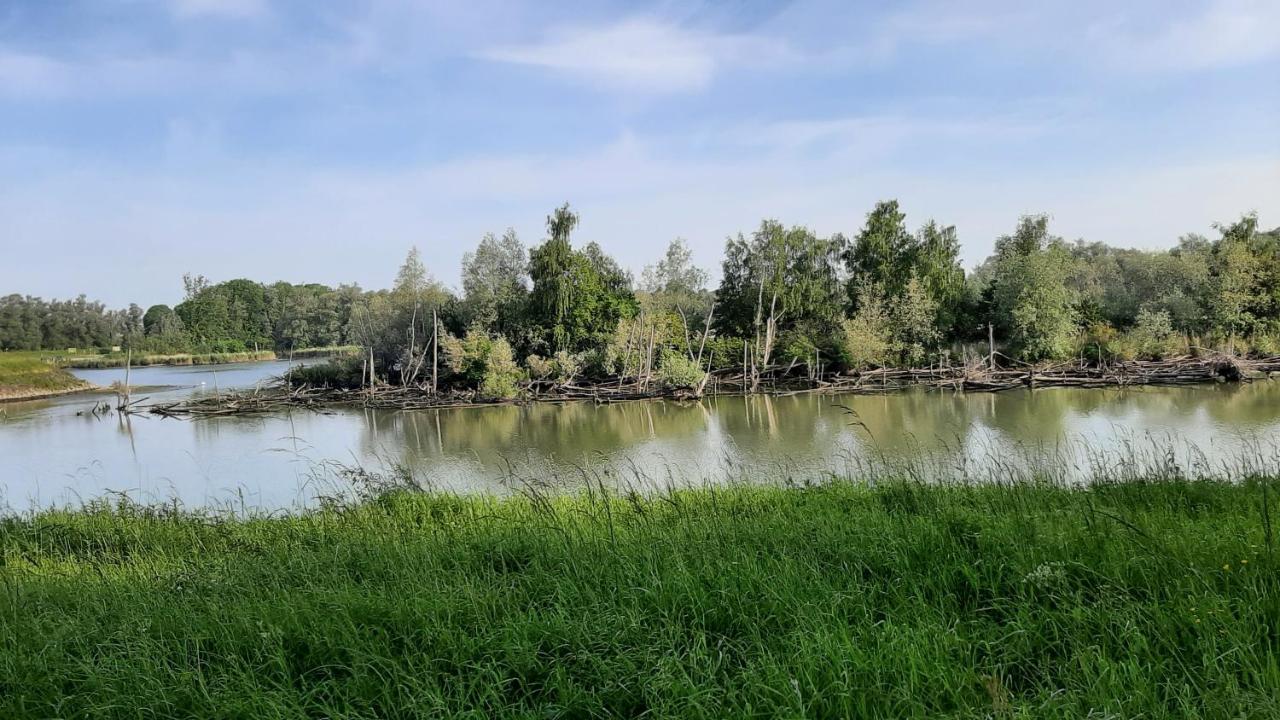 Biesboschbest Werkendam Экстерьер фото