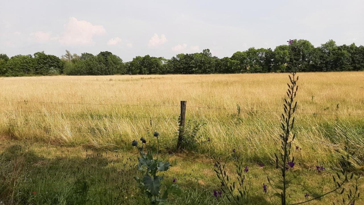 Biesboschbest Werkendam Экстерьер фото