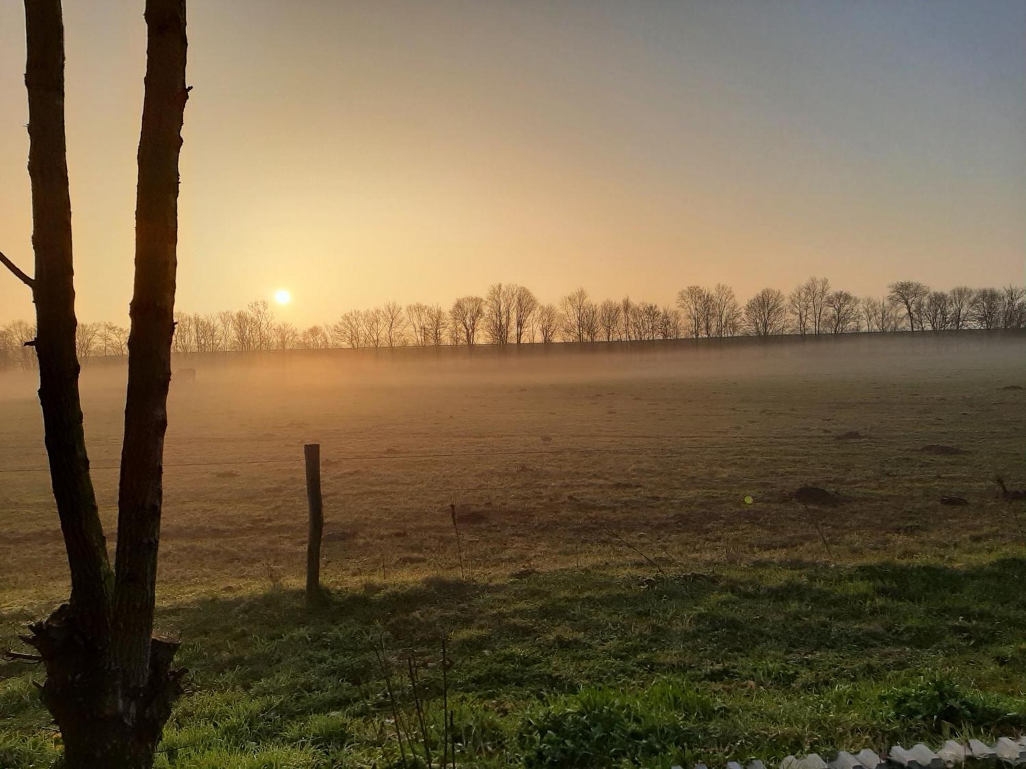 Biesboschbest Werkendam Экстерьер фото